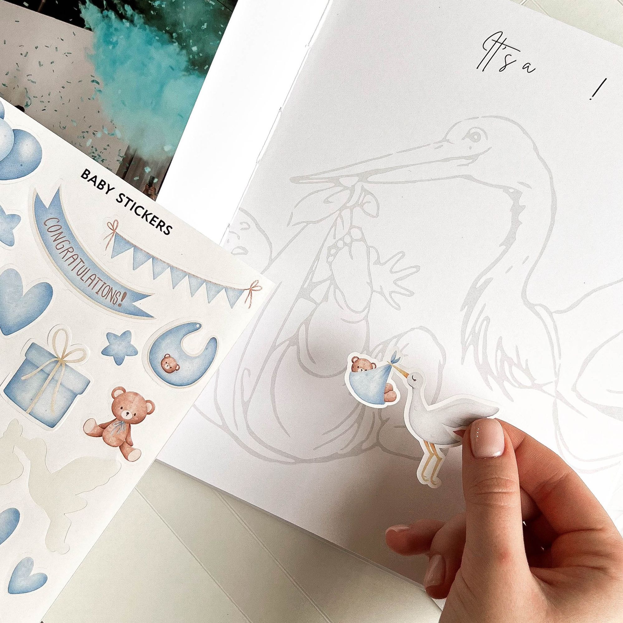 Baby stickers styled flat lay with dried flowers and journaling accessories