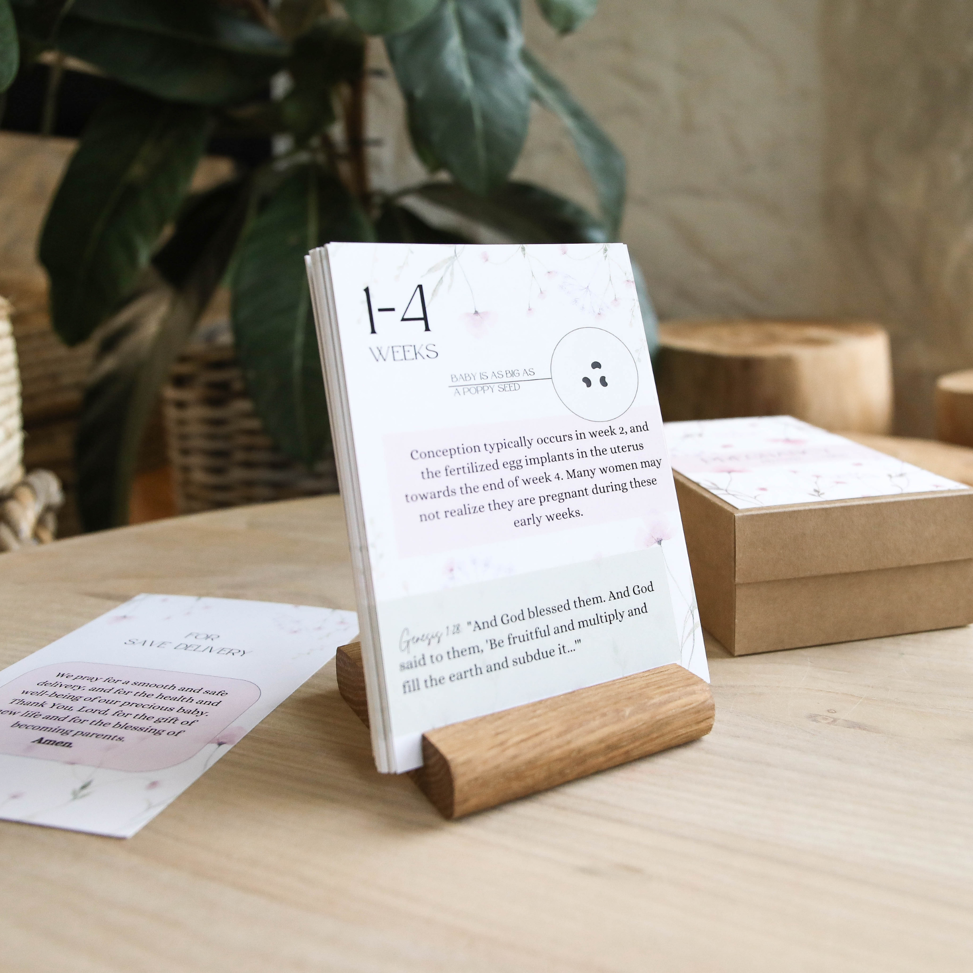 Week-by-week pregnancy prayer cards showing card size and typography design